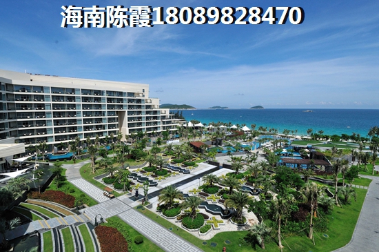 郁金香郡优势 郁金香郡优势