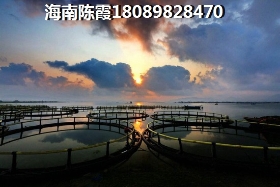 不妨先看看碧桂园·宝岛上城的言论 不妨先看看碧桂园·宝岛上城的言论