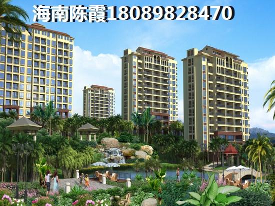 儋州联合城市花园生纸潜力有哪些