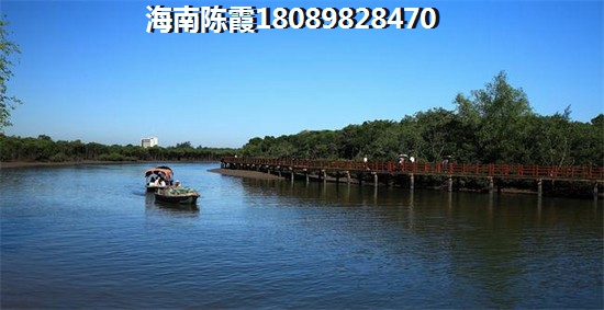 儋城壹品怎么样？