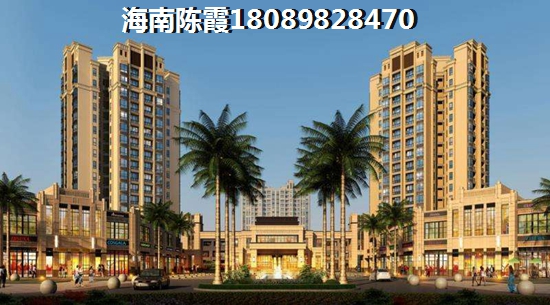 海南澳门街醉新售价2