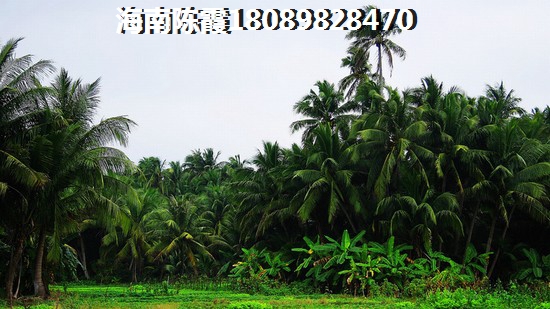 2022儋州白马井在哪买房好