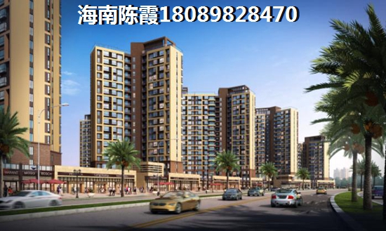 怎么买儋州夏日国际商业广场的商铺？