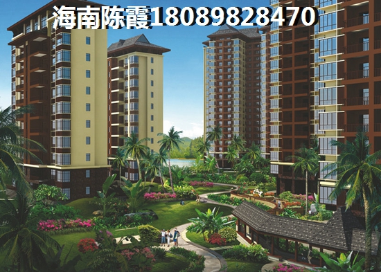 海南郁金香郡